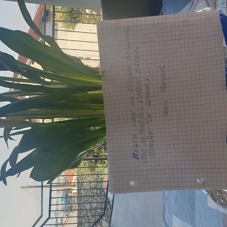 Apartment Goran Novi Vinodolski Zewnętrze zdjęcie
