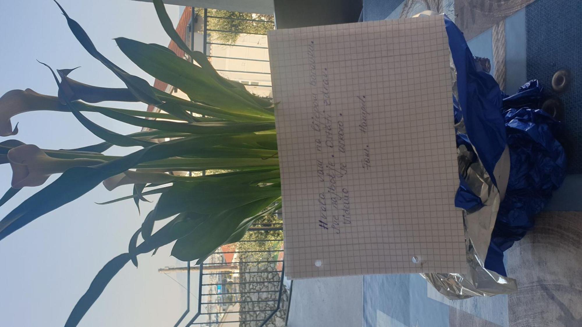 Apartment Goran Novi Vinodolski Zewnętrze zdjęcie